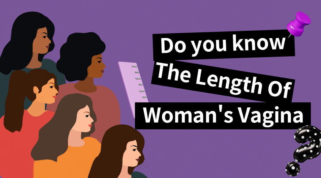 Female Vagina Length