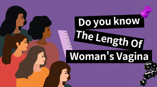 Female Vagina Length
